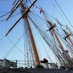 Netherlands - Amsterdam Sail (159)