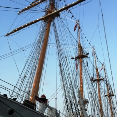 Netherlands - Amsterdam Sail (163)