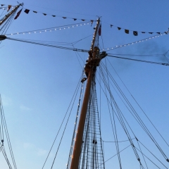 Netherlands - Amsterdam Sail (169)