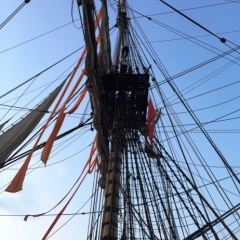 Netherlands - Amsterdam Sail (181)