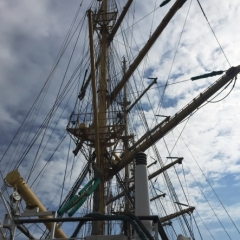 Netherlands - Amsterdam Sail (199)