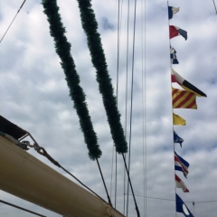 Netherlands - Amsterdam Sail (201)