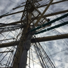 Netherlands - Amsterdam Sail (207)