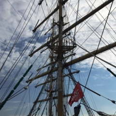 Netherlands - Amsterdam Sail (210)