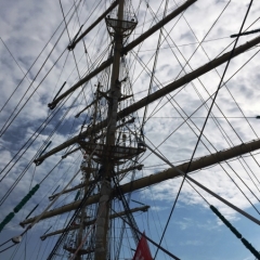 Netherlands - Amsterdam Sail (211)