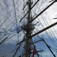 Netherlands - Amsterdam Sail (212)