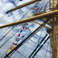 Netherlands - Amsterdam Sail (217)