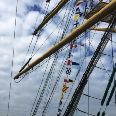 Netherlands - Amsterdam Sail (218)