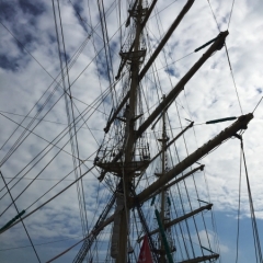 Netherlands - Amsterdam Sail (219)