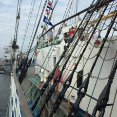 Netherlands - Amsterdam Sail (221)