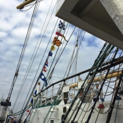 Netherlands - Amsterdam Sail (222)