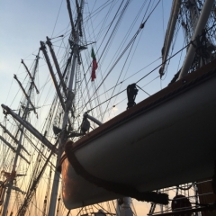 Netherlands - Amsterdam Sail (36)