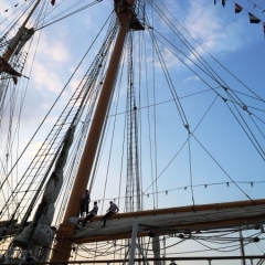 Netherlands - Amsterdam Sail (96)