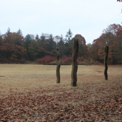 Netherlands, Drenthe (135)