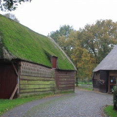 Netherlands, Drenthe (86)