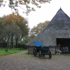 Netherlands, Drenthe (87)