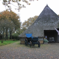 Netherlands, Drenthe (88)