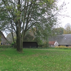 Netherlands, Drenthe (97)