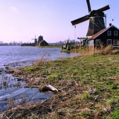 Netherlands - Several (8)