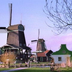 Netherlands - Zaanse schans (1)