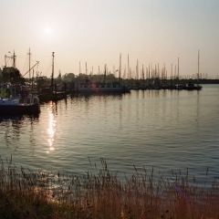 Netherlands - Zaanse schans (12)