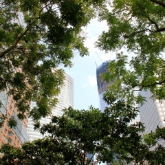 VS - New York (128)