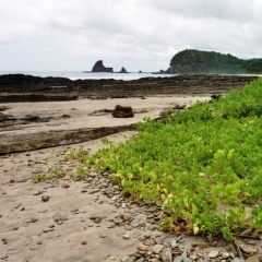 Nicaragua (31)