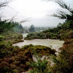 Nieuw-Zeeland (21)