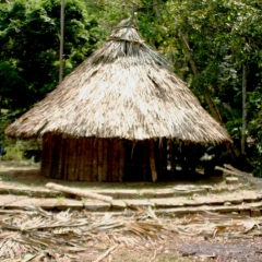 Noord Colombia (48)