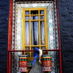 Noord Oost India (11)