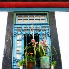 Noord Oost India (19)