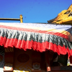 Noord Oost India (36)
