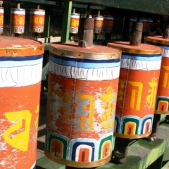 Noord Oost India (38)