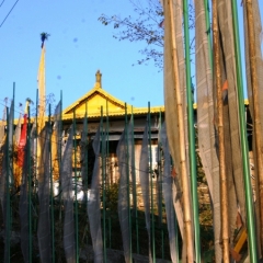 Noord Oost India (43)