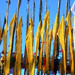 Noord Oost India (47)