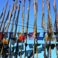 Noord Oost India (49)