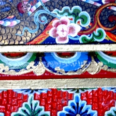 Noord Oost India (5)