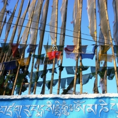 Noord Oost India (50)