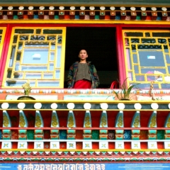 Noord Oost India (6)