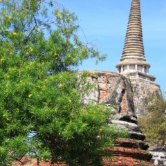 Noord Thailand (110)