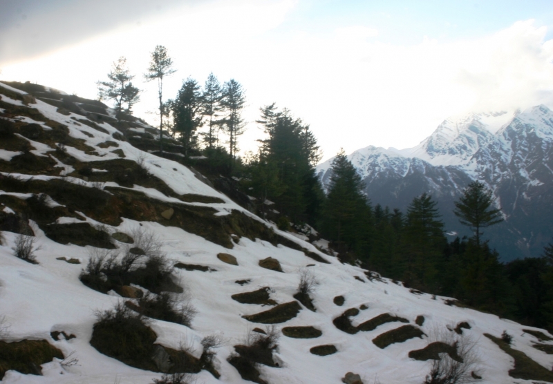 Noord West India (104)