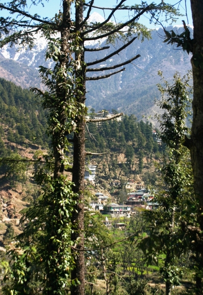 Noord West India (118)