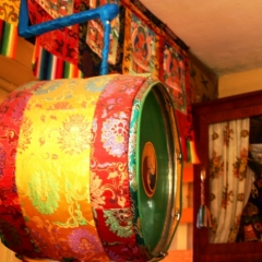 Noord West India (11)