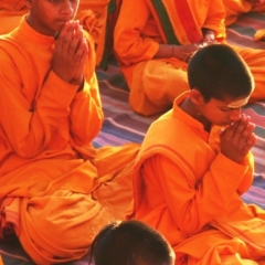 Noord West India (27)