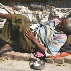 Noord West India (91)