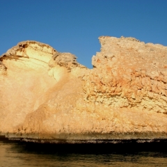 Oman (62)