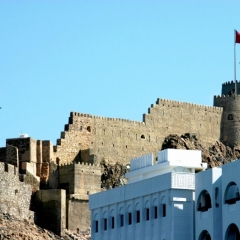 Oman (71)