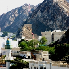 Oman (73)
