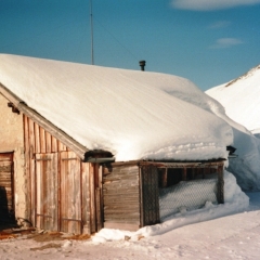 Austria - Snow (21)