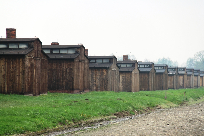 Poland - Auschwitz (18)